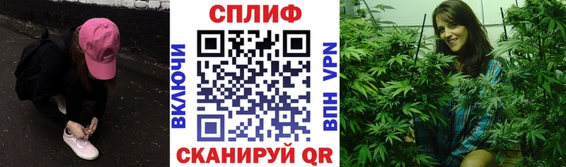 Каннабис сатива Дзержинск